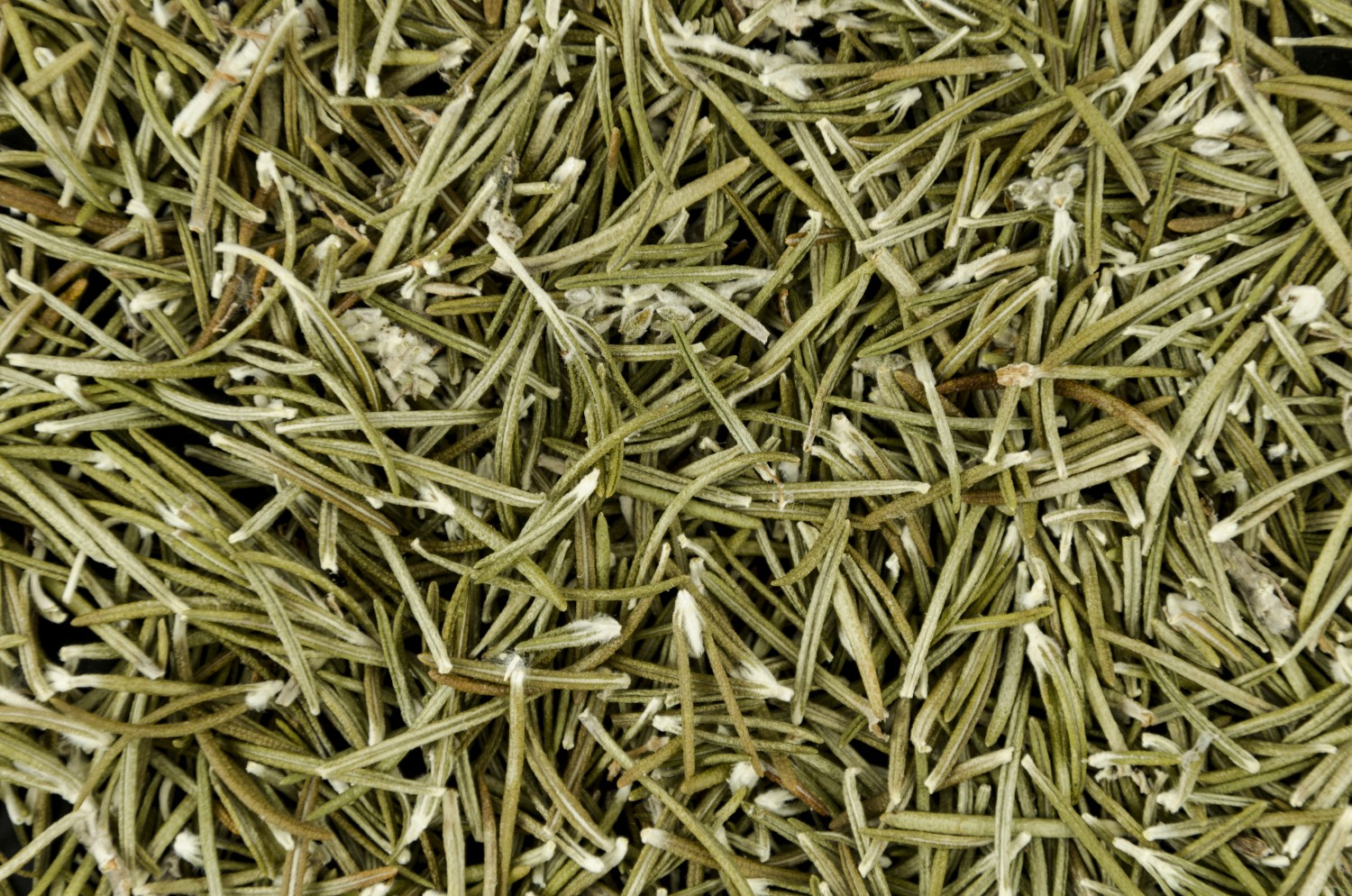 Savannah Sun Foods Horsetail Powder – 100% Pure Herbal Supplement for Hair, Skin & Bone Health