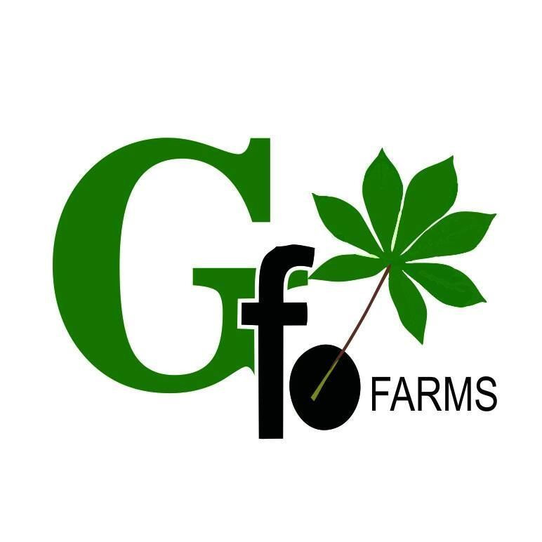 GAFACO FARMS(DAVI GARI)